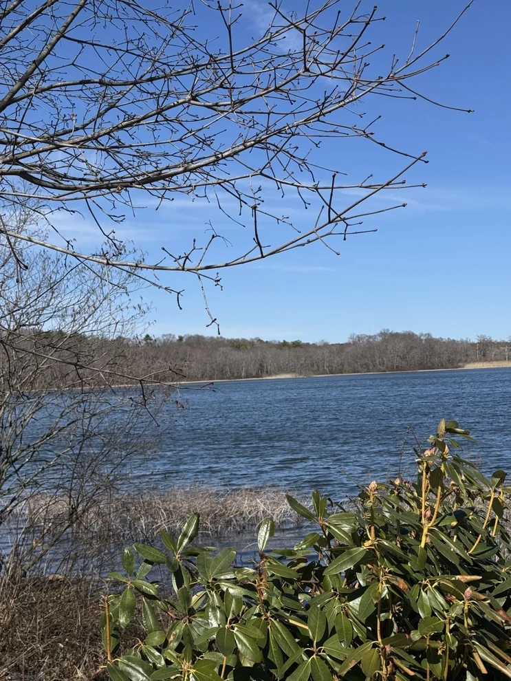 Unit for sale at 6 Abby Lane, Taunton, MA 02780