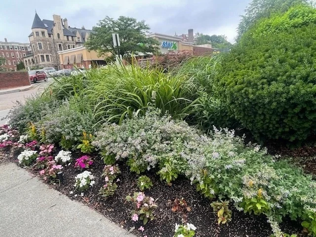 Unit for sale at 1731 Beacon St, Brookline, MA 02445