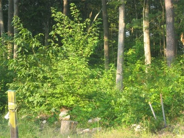 Unit for sale at 70 lot 12 Chestnut Ave. Ext., Northampton, MA 01053