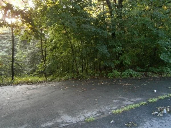 Unit for sale at 70-72 Phelps St., Marlborough, MA 01752