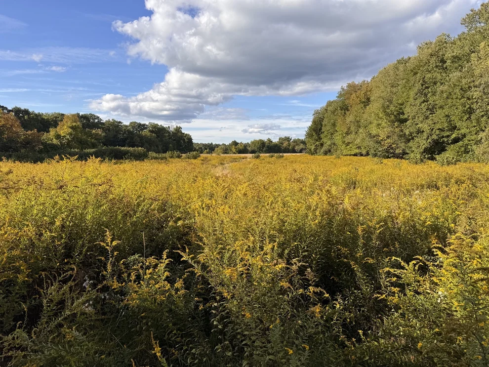 Unit for sale at 30V-Lot 1 Red Bridge Rd, Wilbraham, MA 01095