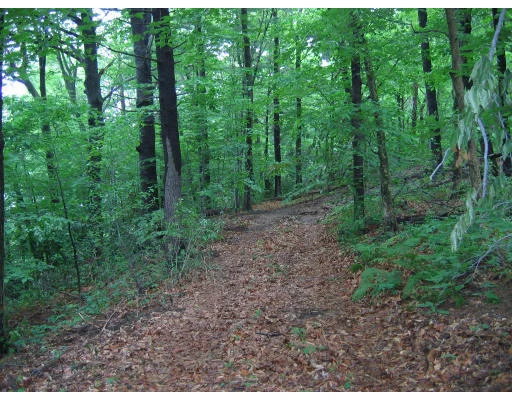 Unit for sale at 3 Alice Drive, Wayland, MA 01778