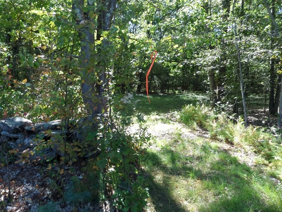 Unit for sale at 0 Stage Road, Chesterfield, MA 01012