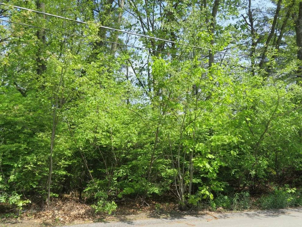 Unit for sale at Lot 653 Farmington, Nashua, NH 03060