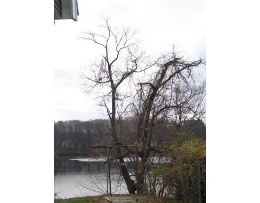 Unit for sale at 39 Park St, Waltham, MA 02453