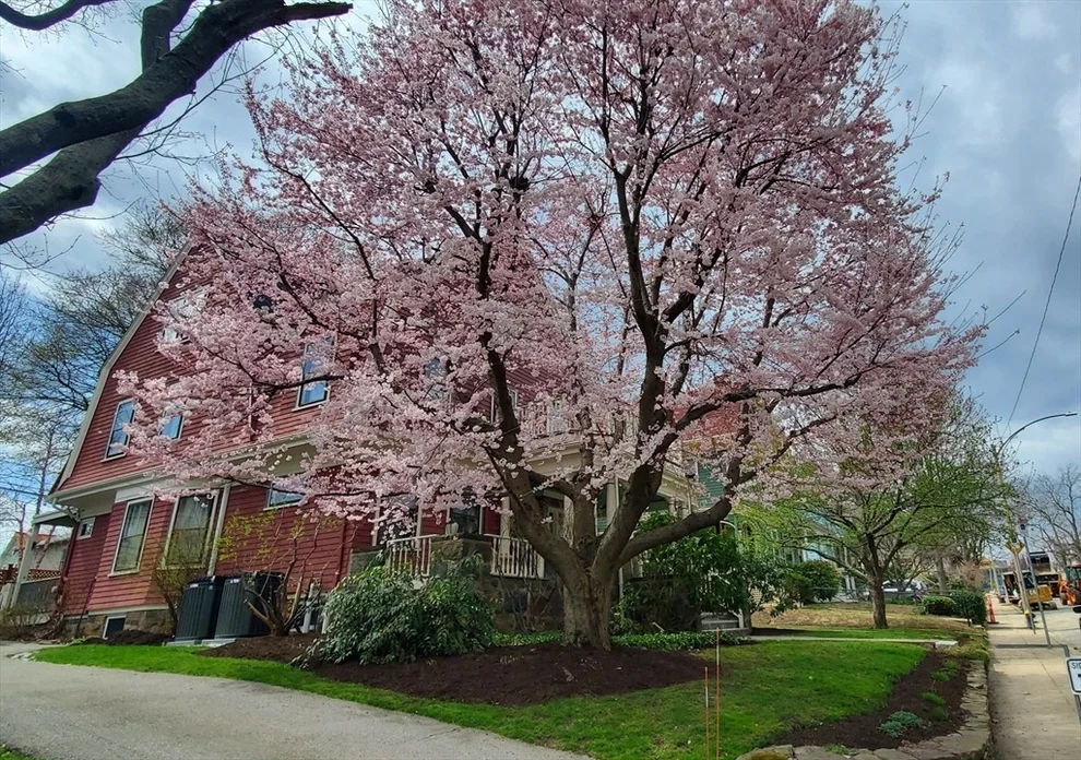 Unit for sale at 40 Hastings St, Boston, MA 02132