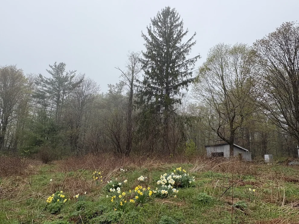 Unit for sale at 63 Sugar Hill Road, Chesterfield, MA 01096