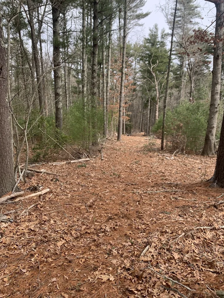 Unit for sale at 0 Snipatuit Rd., Rochester, MA 02770