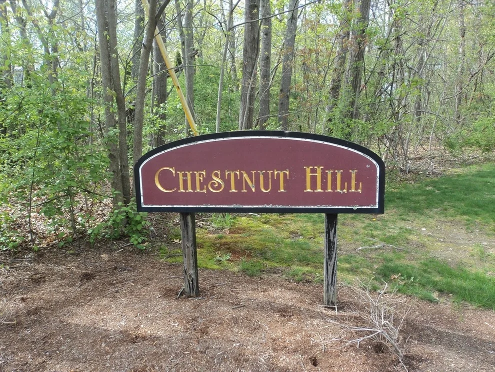 Unit for sale at 7 Bucky Dr, Bellingham, MA 02019