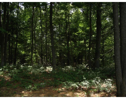 Unit for sale at 17 Warren Road, Dedham, MA 02026