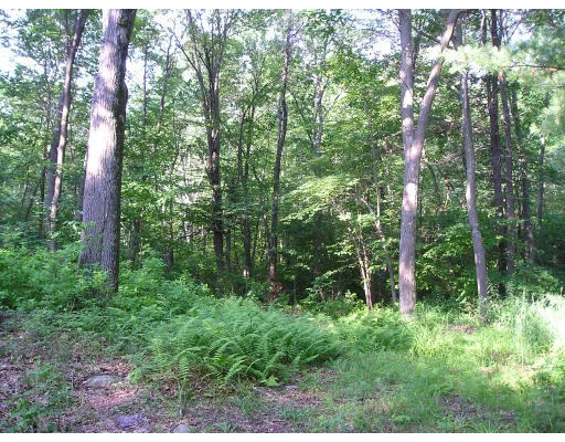 Unit for sale at 0 Adams Lane, Dover, MA 02030