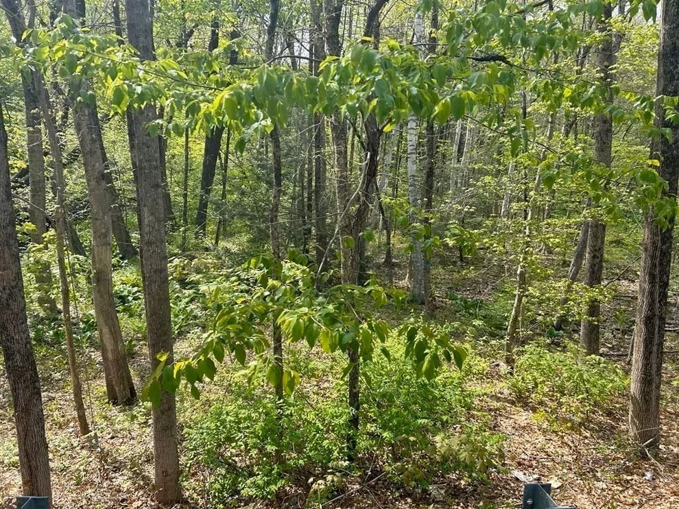 Unit for sale at 45 Fox Hill Rd, Mashpee, MA 02649