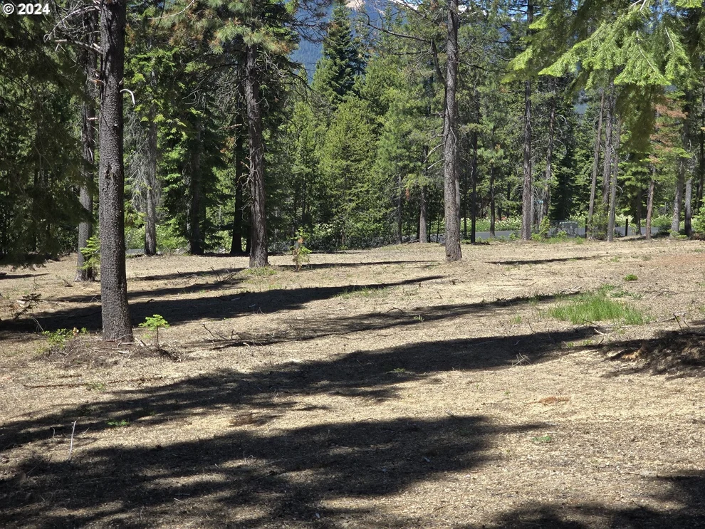 Unit for sale at 19 Elk Haven, CrescentLake, OR 97733