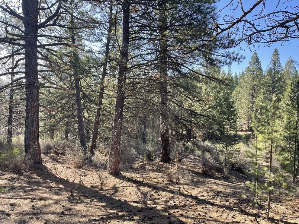 Unit for sale at 01000 Brook Trout LN, Chiloquin, OR 97624