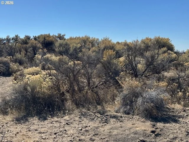 Unit for sale at Hill Lane, ChristmasValley, OR 97641