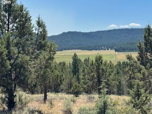 Unit for sale at Skamania Street, Chiloquin, OR 97624