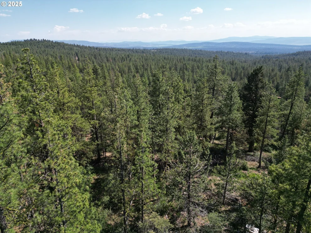 Unit for sale at Sandpiper DR, Beatty, OR 97621