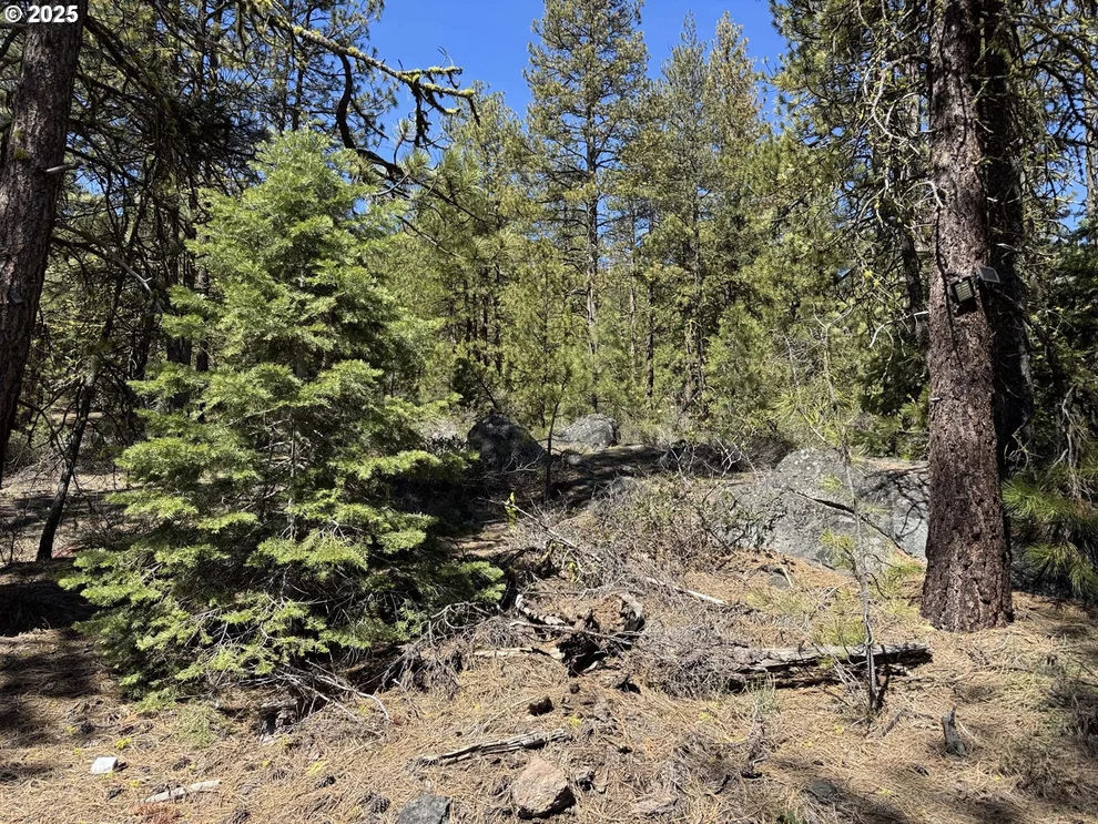 Unit for sale at Horned Owl LN, Bonanza, OR 97623