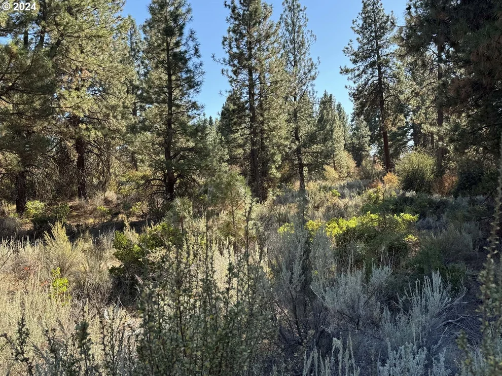Unit for sale at Legget DR, Chiloquin, OR 97624