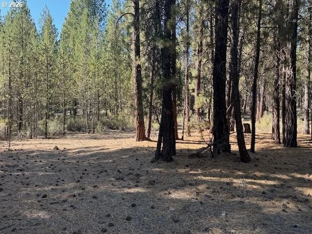 Unit for sale at Green Forest DR, Chiloquin, OR 97624