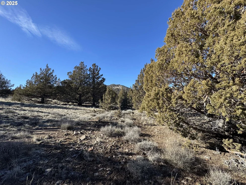 Unit for sale at HWY 395, Lakeview, OR 97630