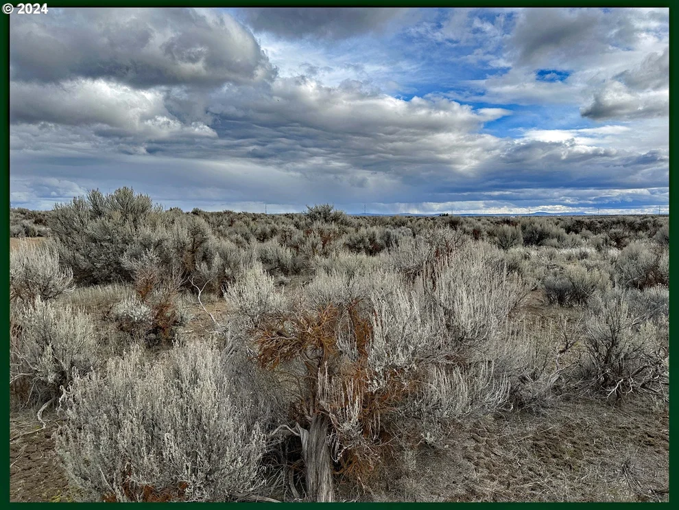 Unit for sale at Millican RD, ChristmasValley, OR 97641