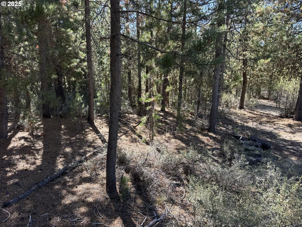 Unit for sale at Crescent Moon Drive, CrescentLake, OR 97733