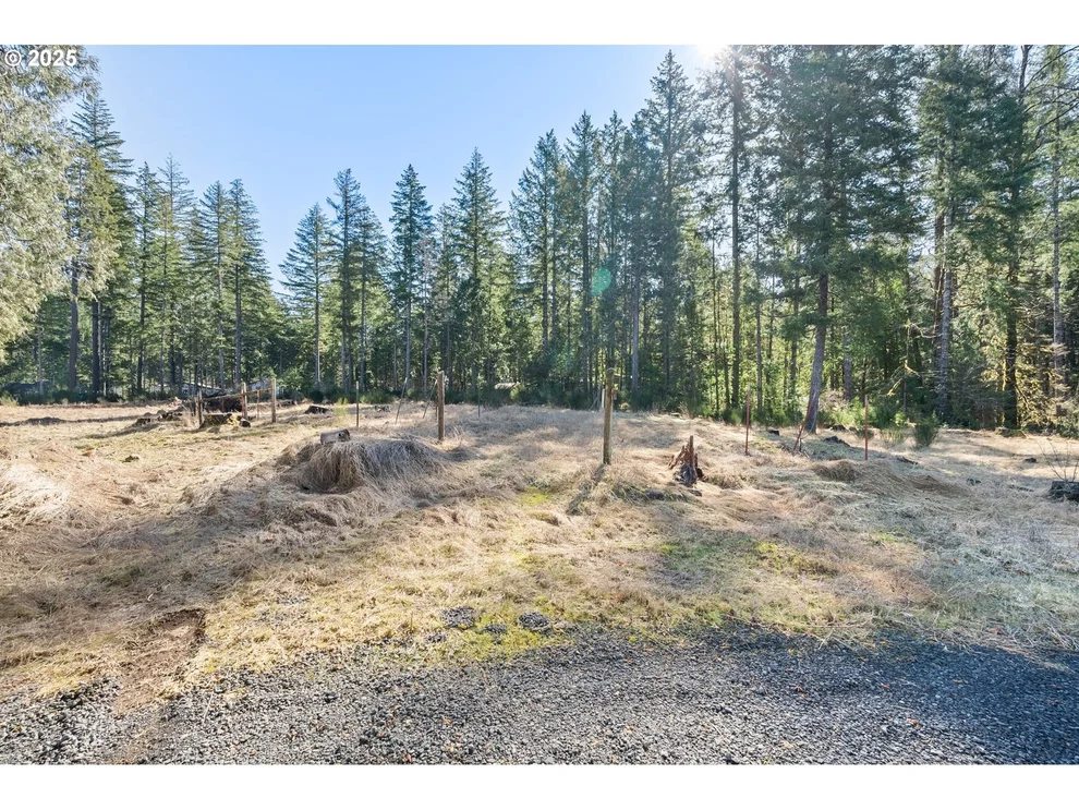 Unit for sale at Alma DR, McKenzieBridge, OR 97413