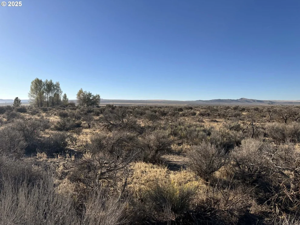 Unit for sale at Pinion Lane, ChristmasValley, OR 97641