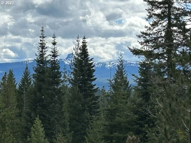 Unit for sale at 8 Diamond Peak WAY, CrescentLake, OR 97733