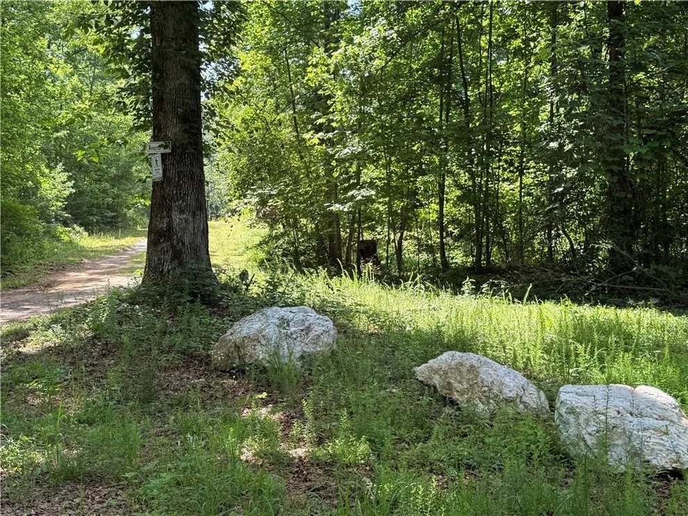 Unit for sale at 20 ac Ellijay Road, Talking Rock, GA 30175