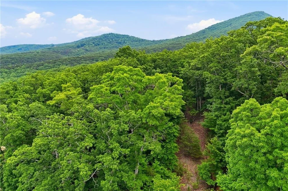 Unit for sale at 0 Owl Ridge Way, Jasper, GA 30143
