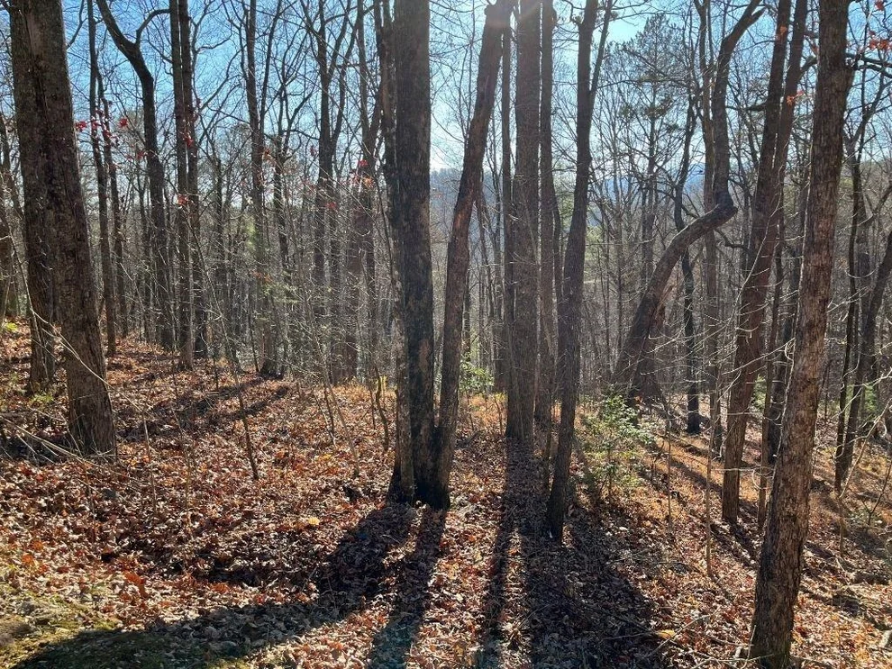 Unit for sale at LOT #1 Forest Canopy Way, Clayton, GA 30525