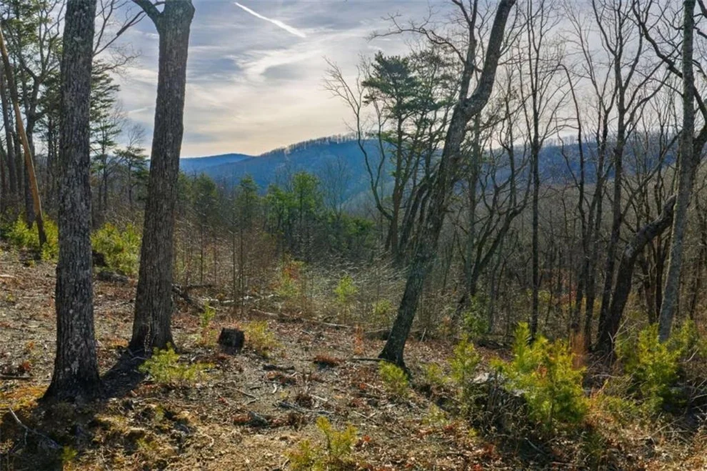 Unit for sale at LOT 52 High Summit Drive, Talking Rock, GA 30175