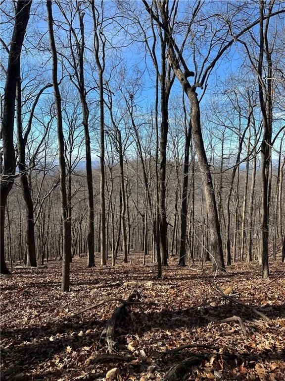 Unit for sale at Lot671 Valley View Trail, Jasper, GA 30143
