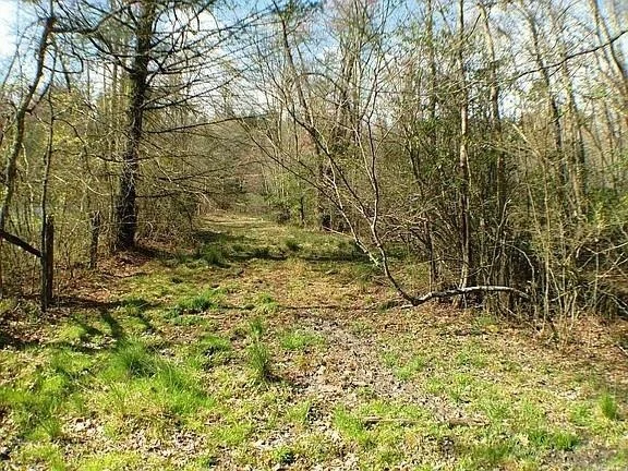 Unit for sale at 0 Doublehead Gap Road, Blue Ridge, GA 30513