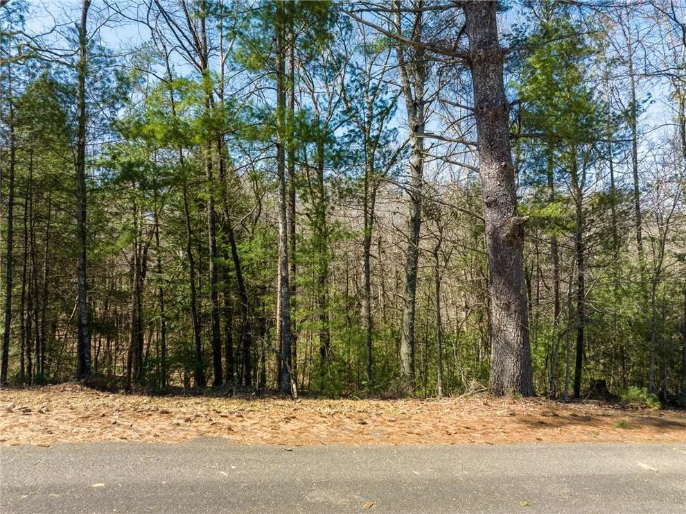 Unit for sale at 0 Shenendoa Drive, Ellijay, GA 30540