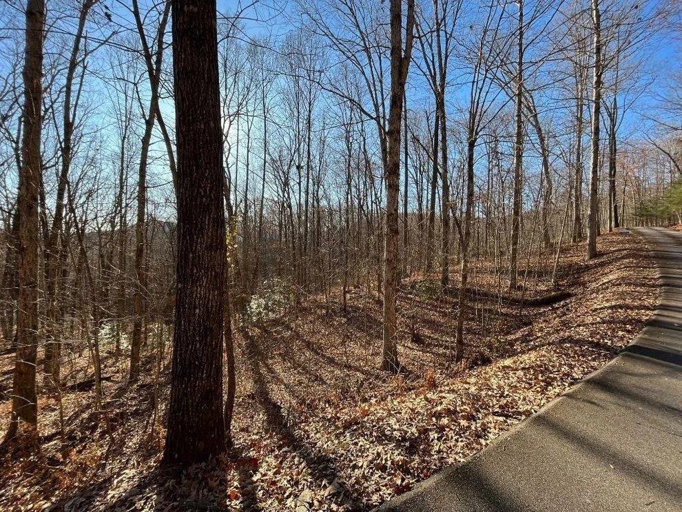 Unit for sale at LOT #2 Forest Canopy Way, Clayton, GA 30525