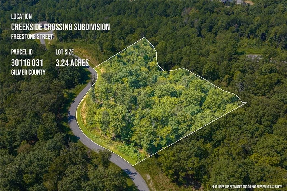 Unit for sale at Lot 31 Freestone Street, Talking Rock, GA 30175