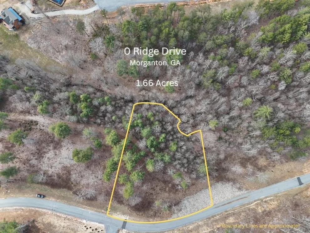 Unit for sale at 0 Ridge Drive, Morganton, GA 30560