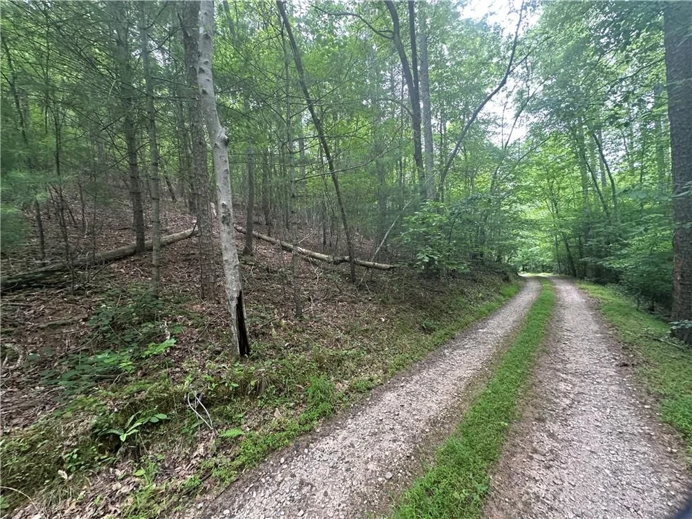 Unit for sale at TRACT1 New Bethel Ch Road, Dawsonville, GA 30534