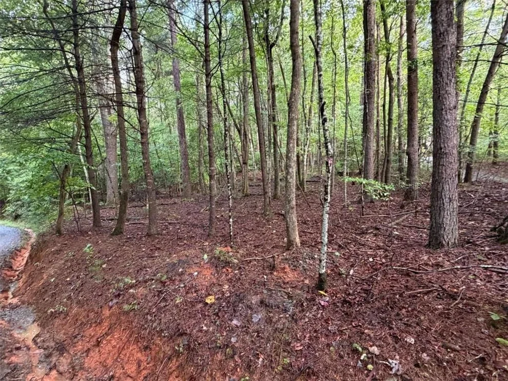 Unit for sale at 0 Peach Lane, Ellijay, GA 30536