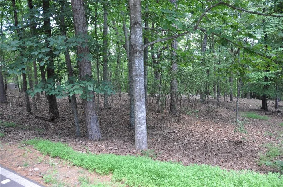Unit for sale at 2468 Wedgewood Drive, Big Canoe, GA 30143