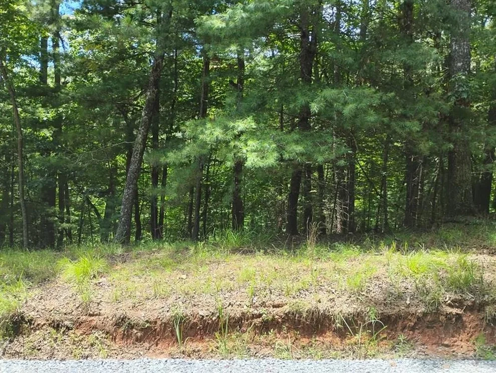 Unit for sale at 0 Crystal Lane, Ellijay, GA 30540