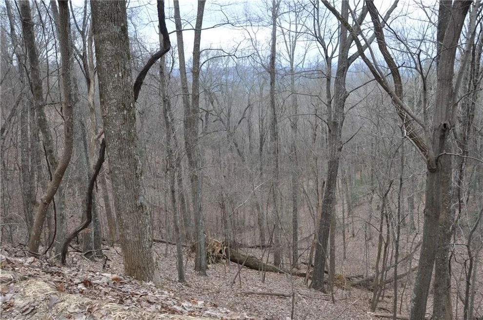 Unit for sale at 3012 Wild Turkey Bluff, Big Canoe, GA 30143