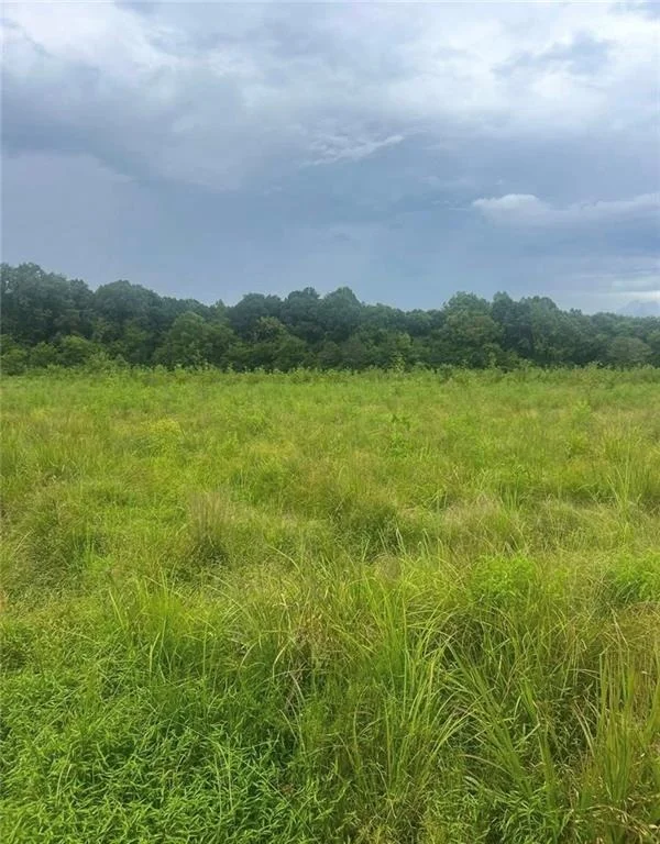 Unit for sale at 729 Taylor Town Road NE, Ranger, GA 30734