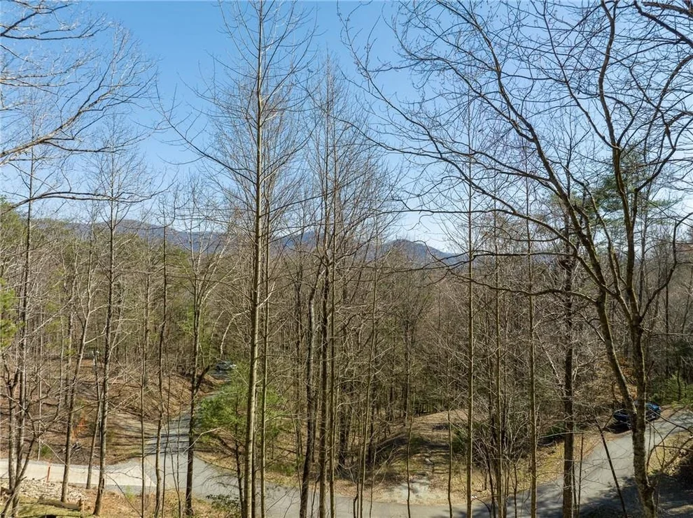 Unit for sale at 0 Chicasaw Drive, Ellijay, GA 30540