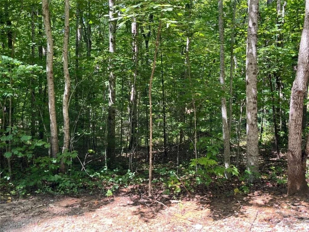 Unit for sale at LOT 7 Forest Canopy Way, Clayton, GA 30525