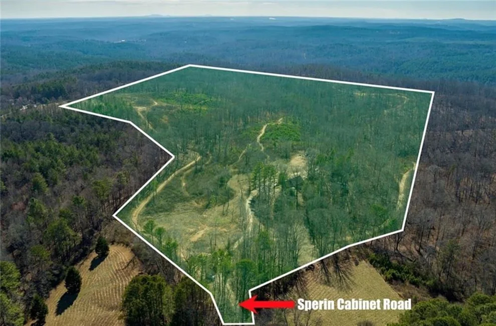 Unit for sale at 170 Sperin Cabinet Shop Road, Ball Ground, GA 30107