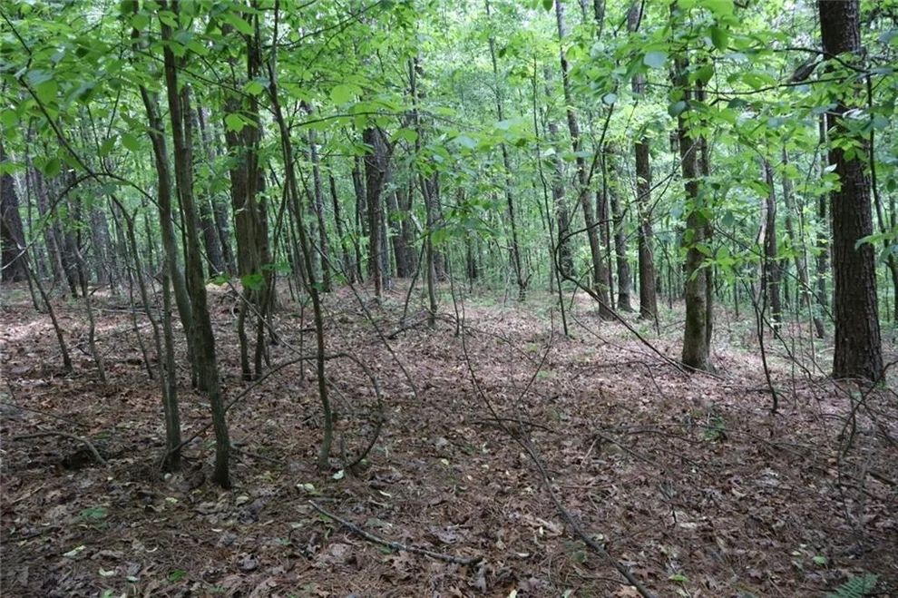 Unit for sale at 0 Parksbrook Road A, Ellijay, GA 30540